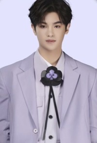 贾想